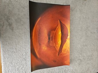 Signed An Numbered Large Photograph Of Lips D5