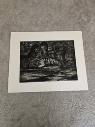 Art Werger Signed Etching 2001 Titled Live Oaks Cumberland Island State 5 1/2 D66