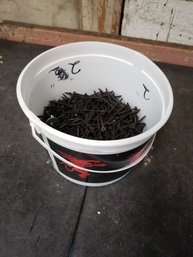 Bucket Of 2' Screws B2