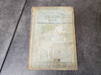 Book: VERY OLD Alice In Wonderland Through The Looking Glass Illustrated D1 Stack 3