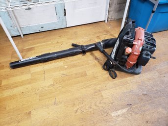 Echo Gas Powered Leaf Blower D4