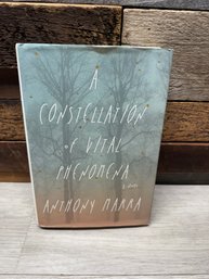 A Constellation Of Vital Phenomena Book A3