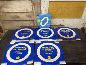 Flourescent Circline Light Bulbs Lot Of 6 (g3)