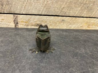 Frog Reading A Book C3