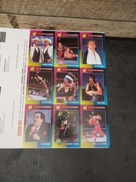 WWF Trading Cards L1