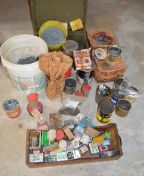 Nailed It!- Assorted Nails And Screws Lot