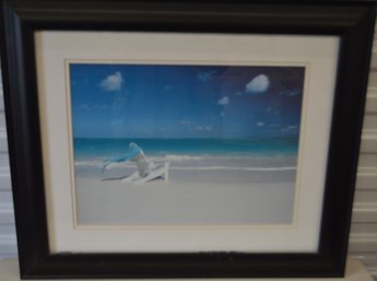 Ahh Give Me The Beach Life!