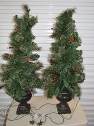 Pair Of Christmas Trees In Weighted Stands