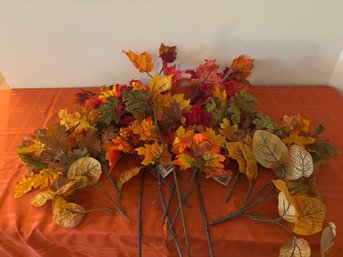 Lots O Leaves But You Dont Have To Rake These!