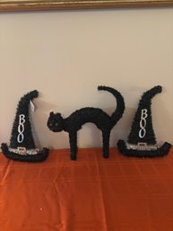Don't Be Such A Scaredy Cat!