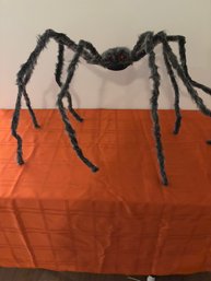 This Is No Itsy Bitsy Spider!