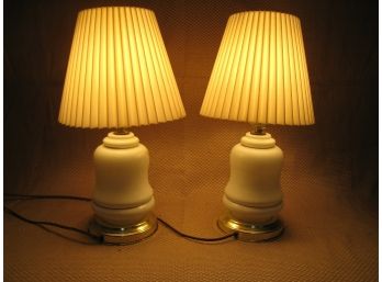 Pair Of Blue Flowered Lamps