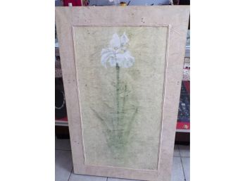 Amaryllis Oil On Canvas