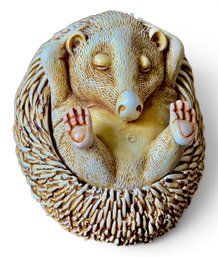 Harmony Kingdom Sunnyside Up Sleeping Hedgehog Trinket Box