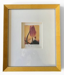 Polaroid Transfer Print Tulip Jacqueline Martin Montreal Canada Framed