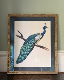 Beautiful Framed Peacock Print Artwork In Gold Frame