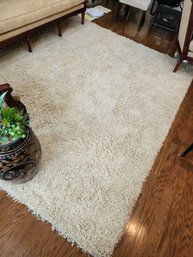 JK Beige Shag Carpet 8' X 10' - Port Washington Pick Up