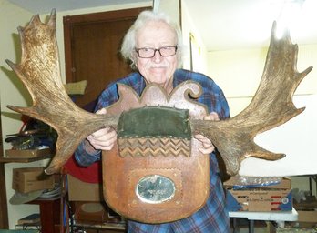 Early 1900's Moose Antlers Wall Plaque, Oak Wood W/bevel Mirror Insert Ready To Hang, 38' Wide Rack
