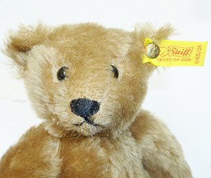 Vintage Steiff Bear, Button In Ear & Tags