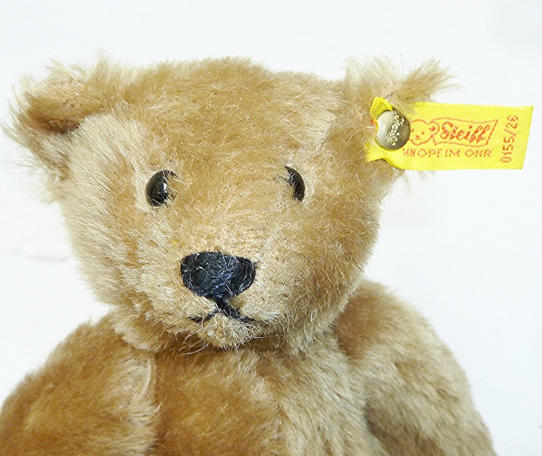 Vintage Steiff Bear, Button In Ear & Tags #9555 | Auctionninja.com