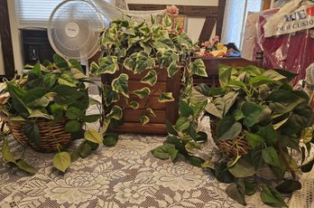 American Floral Inc. Silk Artificial Plant & Ivy Arrangement Lot With Wicker Baskets & Wood Planter