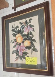 Charles Adams Botanical Fruit Print, Grapes & Citrus Still Life  24'H X 28'W