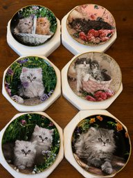 Nancy Matthews Franklin Mint Limited Edition Kitten Fine Porcelain Collector Plates- Lot Of 6