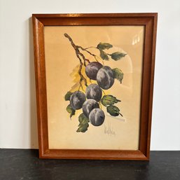 Signed Framed Watercolor Still Life Of Purple Plums  Original Fruit Artwork