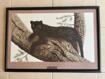 Framed Black Panther Endangered Species Print