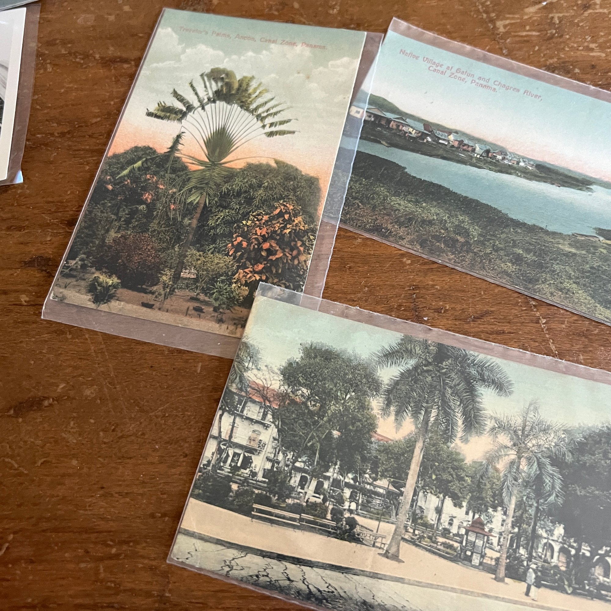 Postcard Lot Panama Canal Zone 66084