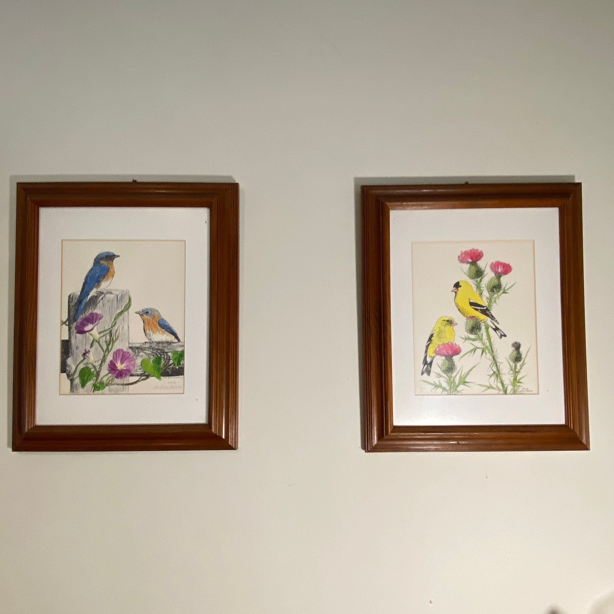 2 Beautiful Framed Drawings Of Birds And Flowers By Artist Andrea ...