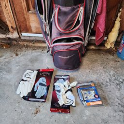 Golf Bag With Multiple Clubs, Gloves, Tees, And Golf Balls - Garage
