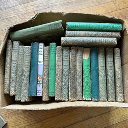 Huge Lot Of Vintage Bobbsey Twins Books (LR)