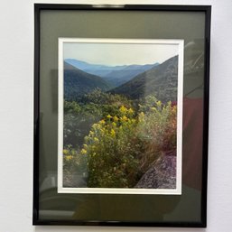Framed Landscape Photography (laundry)