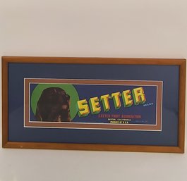 Setter Dog California Fruit Advertising