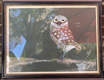 Framed 'Owl' Wall Art