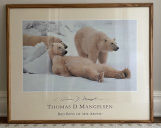 Thomas D. Mangelsen 'Bad Boys Of The Arctic' Large Framed Wildlife Art Print