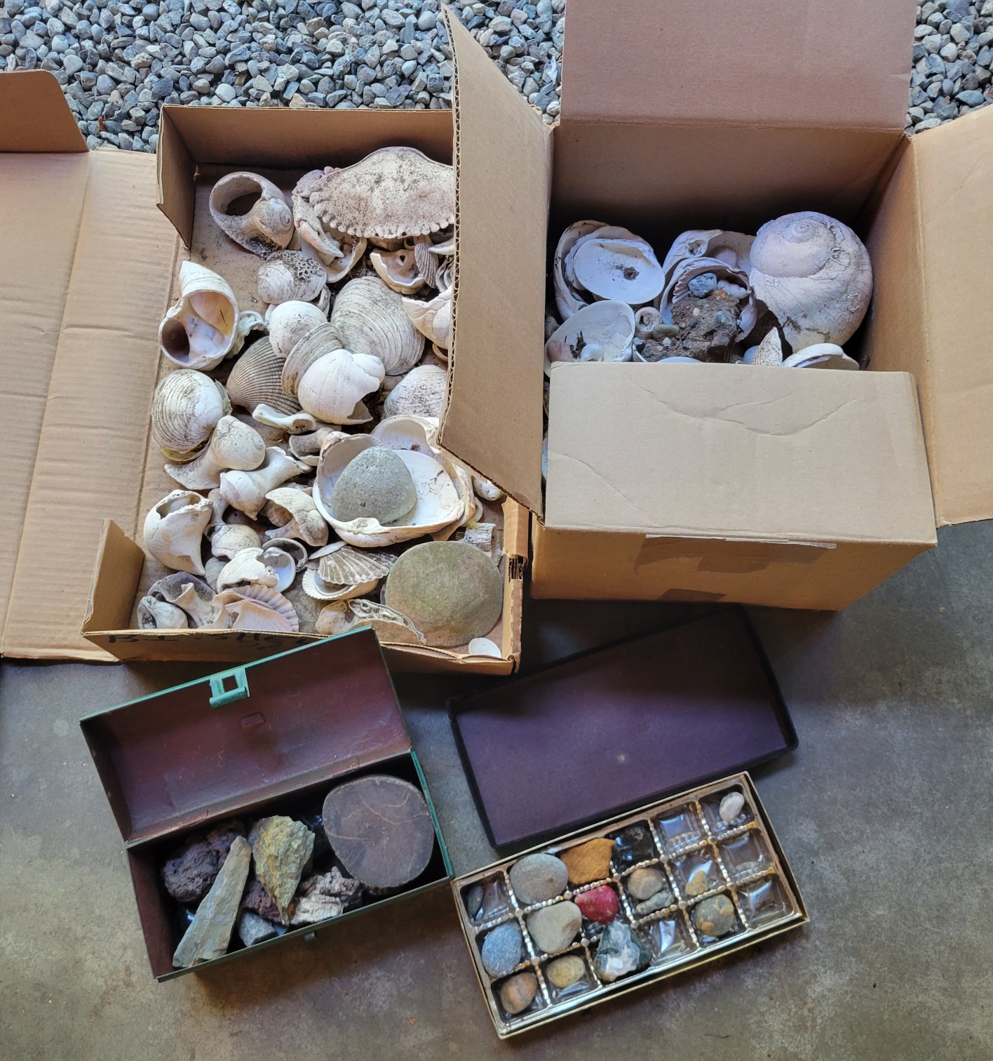 Comercial Shell Rocks R0 Selection Of Shells And Rocks In Various Sizes #42326 | Auctionninja.com