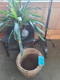 Wooden Plant Stand, Basket, And Hanging Plant Stand