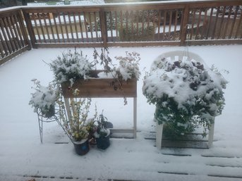 Patio Furniture, Bird Feeders, Plants, Pots And Animal Figures