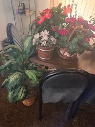 Rm.6. Faux Potted Plants