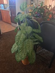 Rm.6. Faux Potted Plants