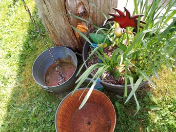 R00 Galvanized Metal Buckets & Garden Decor Set Includes Assorted Buckets, A Large Planter With Live Plants,