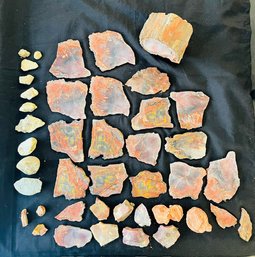 R0 Large Petrified Wood Fossil Collection Rainbow Colors