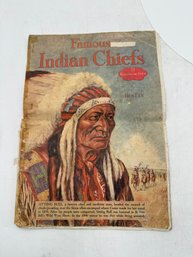 R1 Famous Indian Chiefs  17 Portraits In Color By Ben Ely