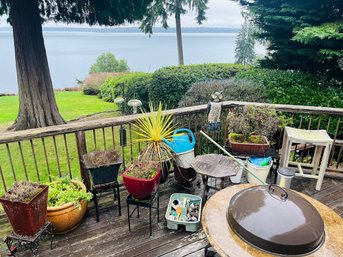 R0 Bonsai Tree Assorted Plants And Plant Stands With Side Tables And Buckets Garden Hose Nozzles