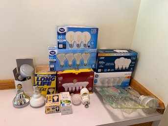 R6 Replacement Bulbs For Indoor/Outdoor Assorted Sizes