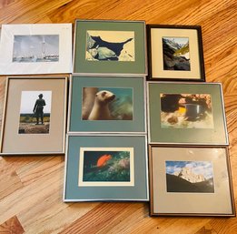 RM1 Lot Of Framed Underwater Photos And Landscape