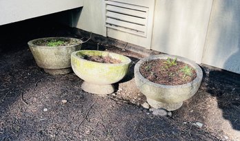 R00 Concrete Planter Pots Two Very Large, Five Smaller