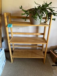 R11 Folding Wood Shelf 48in X 28in X 12in. , Cactus Plant Pot Is 9in Tall 11in Wide. Plastic